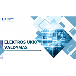 Elektros ūkio valdymas